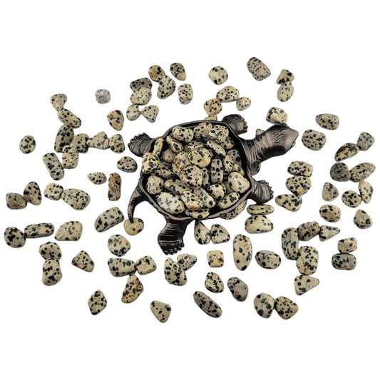 1,000 Carats Dalmation Jasper Handpicked Tumbled Stones Crystals Chips 0.2''-0.5'' Bulk Pocket Stones for Healing, Reiki, Meditation, Witchcraft and Home Decorations (Dalmation Jasper)