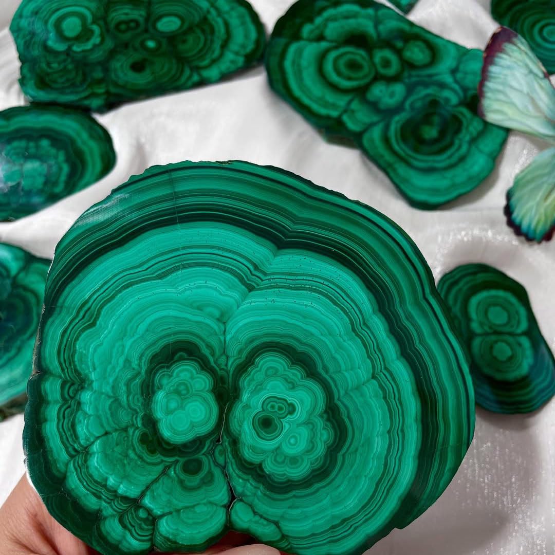 0.33-0.66 lb Natural Malachite Slabs - Premium Polished Crystal Slices for Home & Office Decor - Unique Raw-Edged Healing Stones 2-4 inch (0.33-0.44 lb)